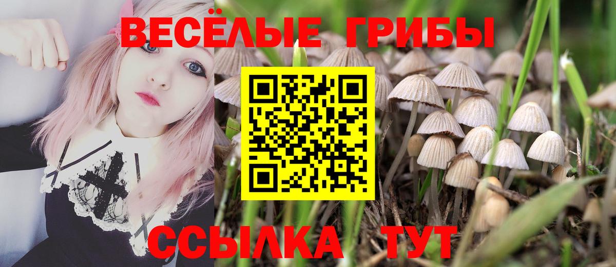 Галлюциногенные грибы Magic Shrooms  Вход с VPN  Карталы 